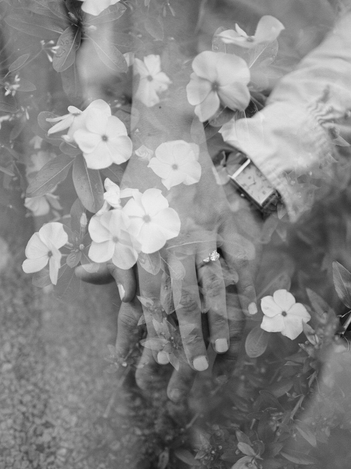 Double exposure of hands holding with an engagement ring blended with white flowers.