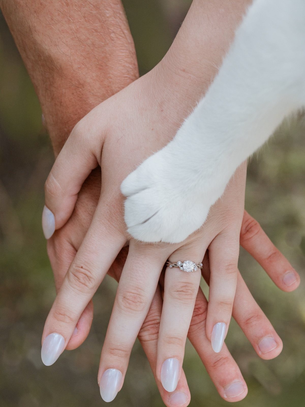 Diamond engagement ring on a hand with a white dog paw resting on top