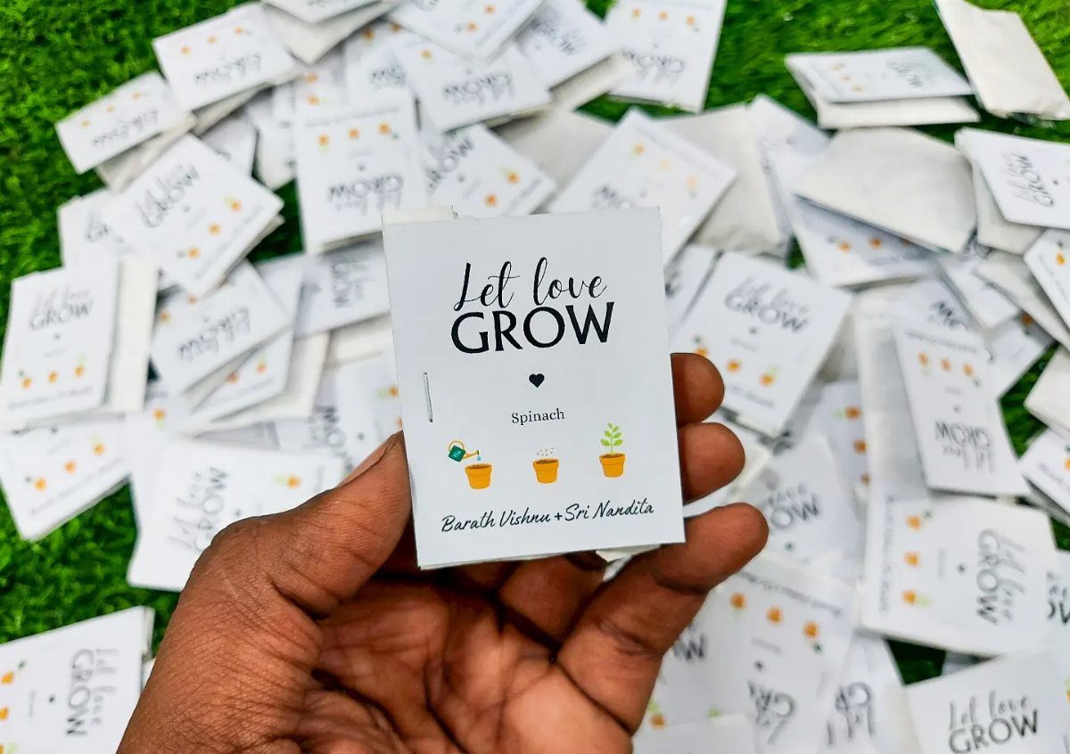 Hand holding a white seed packet with plant illustrations on green grass.