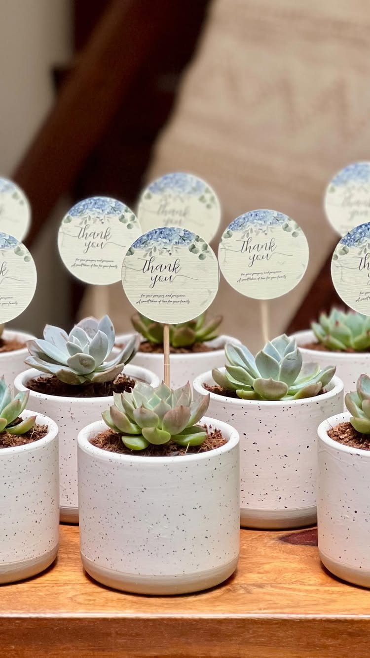 Small green succulents in white speckled pots with circular thank you tags.